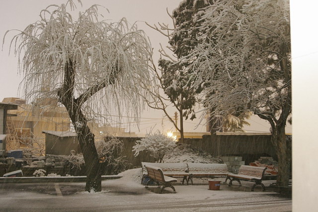 1110449088.jpg 첨부 이미지