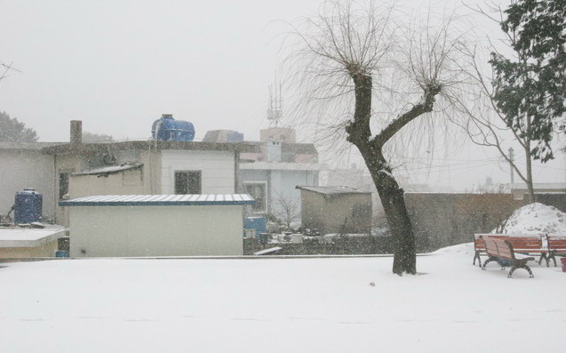 눈오는 건설관 #2